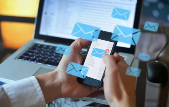 Correo Corporativo Profesional para Empresas - Anual