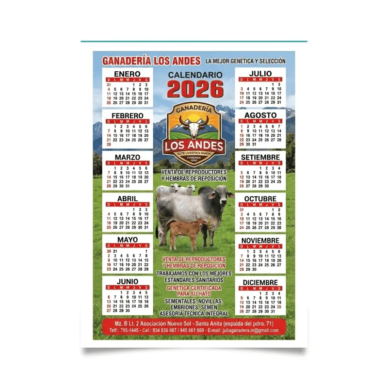 Calendarios Publicitarios M5 Personalizados x100 | Calendarios Corporativos para Empresas